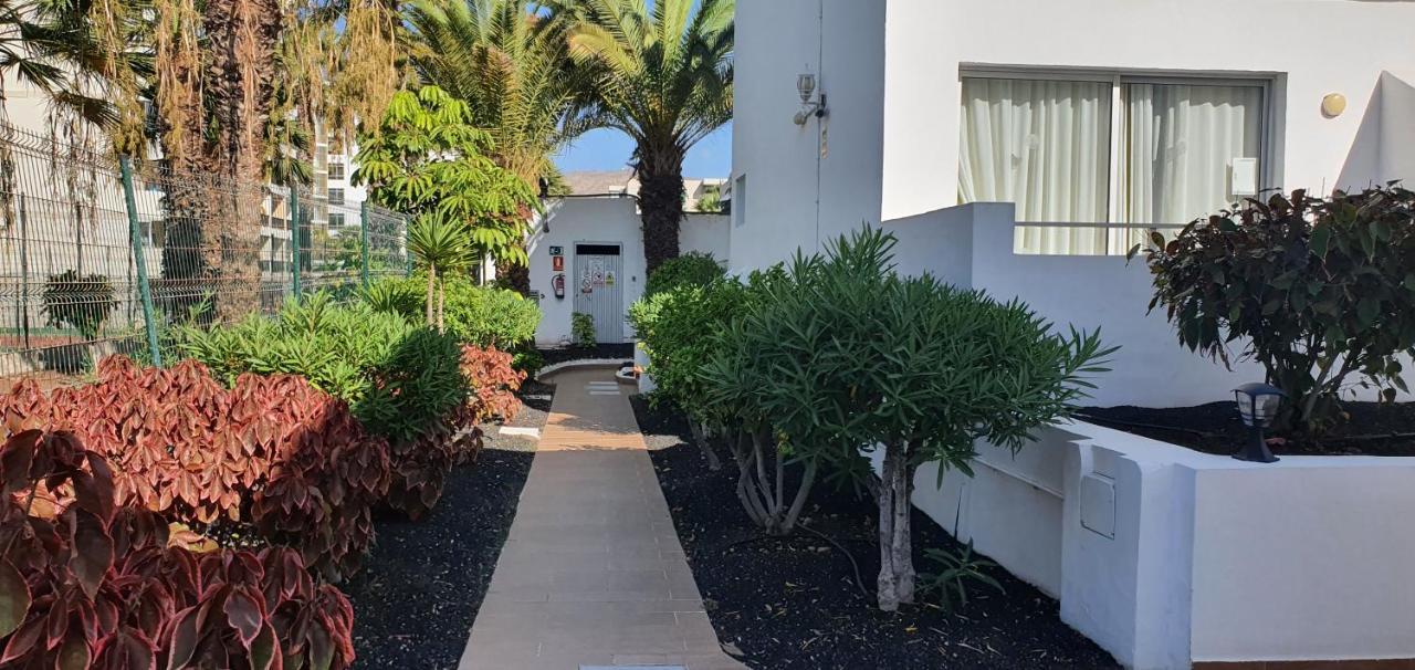Adults Only Sunny Quiet Apartment In Center Of Las Americas 阿罗纳 外观 照片