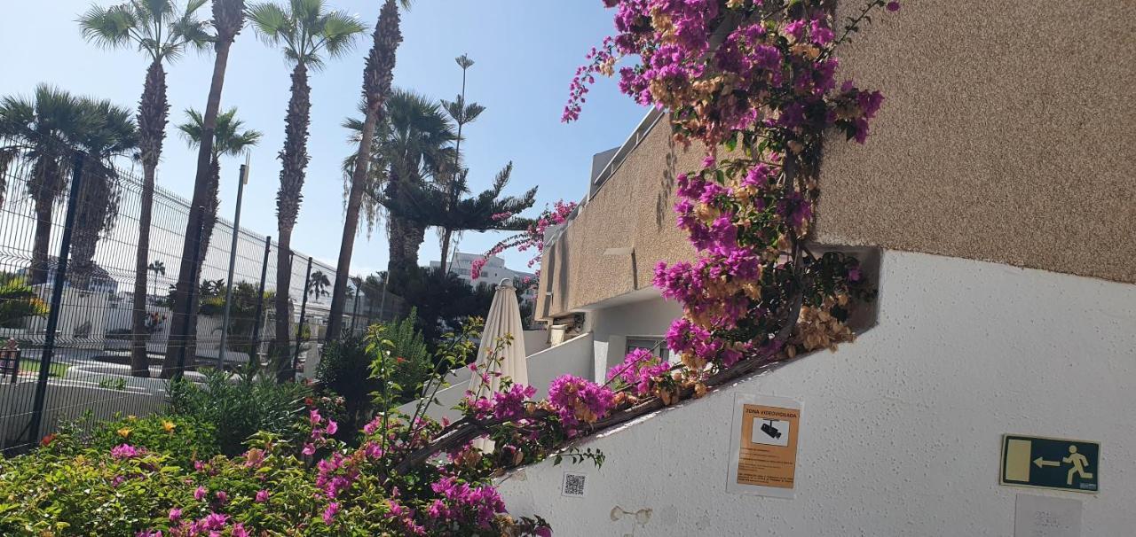 Adults Only Sunny Quiet Apartment In Center Of Las Americas 阿罗纳 外观 照片