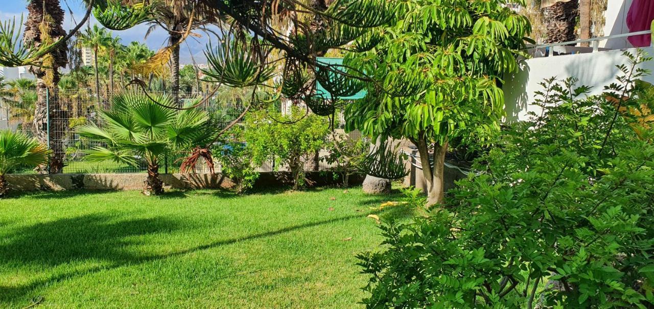 Adults Only Sunny Quiet Apartment In Center Of Las Americas 阿罗纳 外观 照片