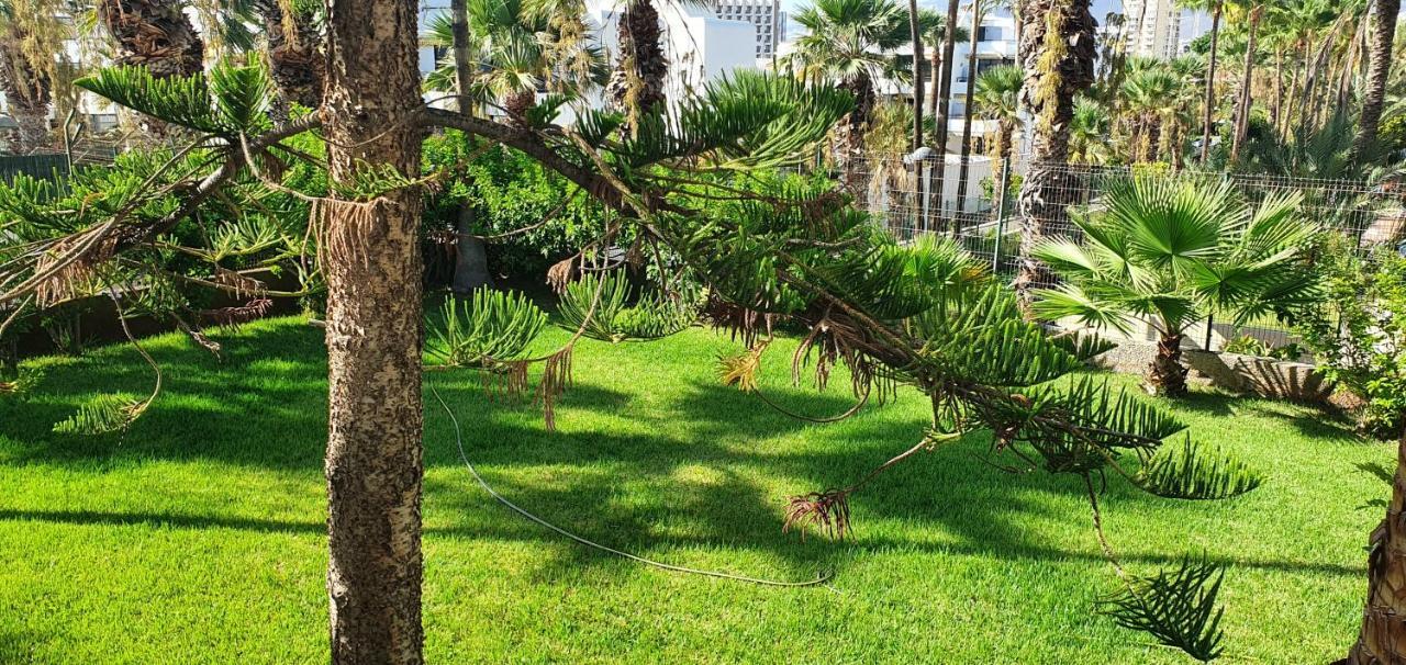 Adults Only Sunny Quiet Apartment In Center Of Las Americas 阿罗纳 外观 照片