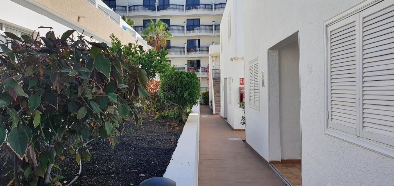 Adults Only Sunny Quiet Apartment In Center Of Las Americas 阿罗纳 外观 照片